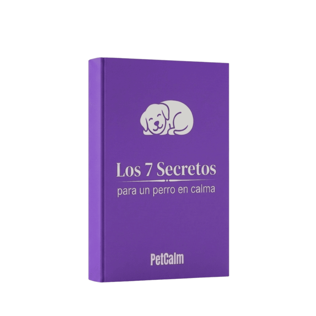 7 Secretos Perro en Calma
