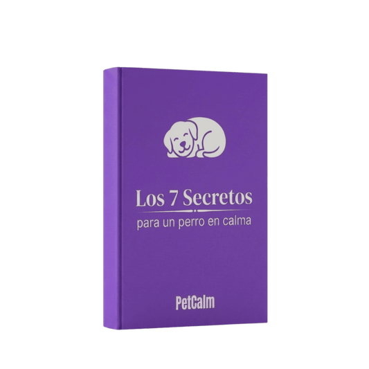 7 Secretos Perro en Calma