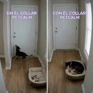 PetCalm™ - Collar Calmante de Feromonas