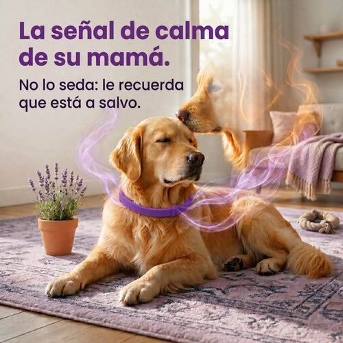 PetCalm™ - Collar Calmante de Feromonas
