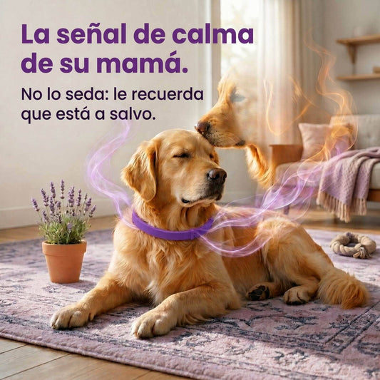 PetCalm™ - Collar Calmante de Feromonas